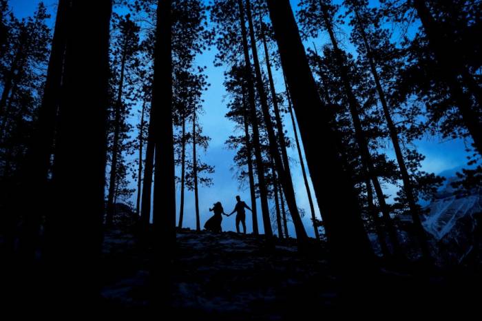 Silhouette captured by Calgary Wedding Photographer in the forest.