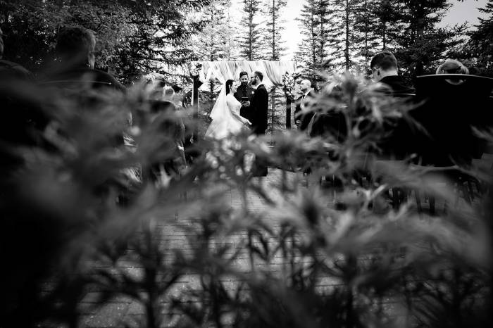 Creative wedding photograph shoot through the plants during Banff Elopement Ceremony.