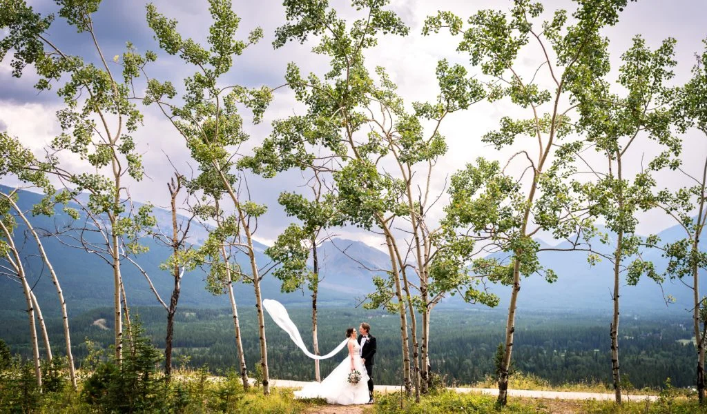Bride and groom portrait