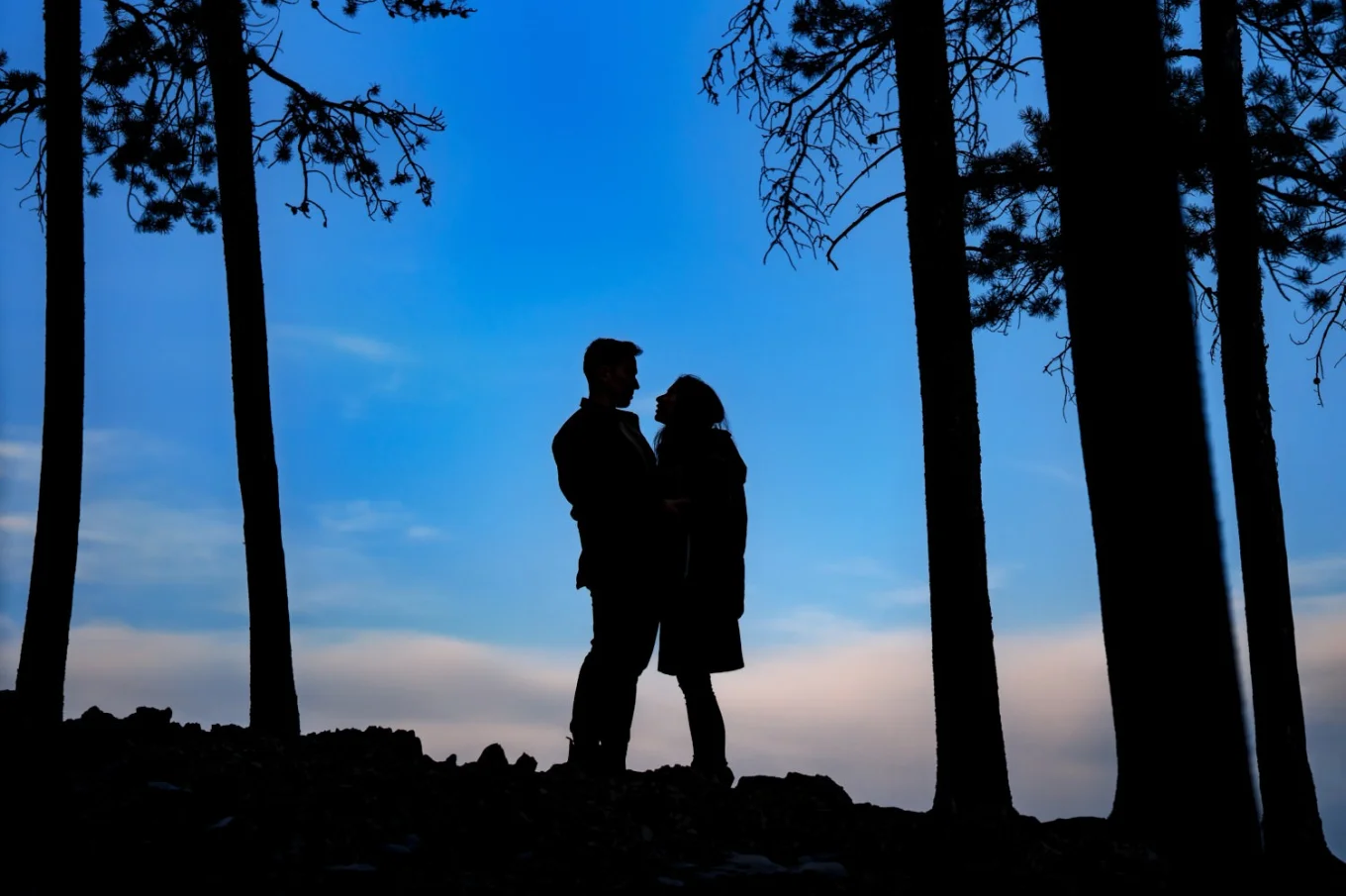 silhouetted engaged couple in a hug looking at each other. They are in between trees, against a blue sky.