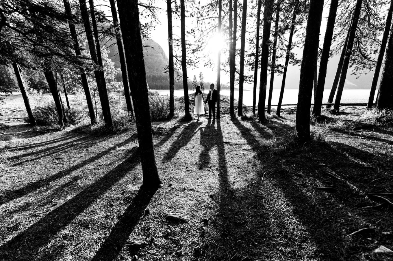 Incredible photograph in the woods in black and white taken by Banff Wedding Photographers of the engaged couple walking holding their hands.
