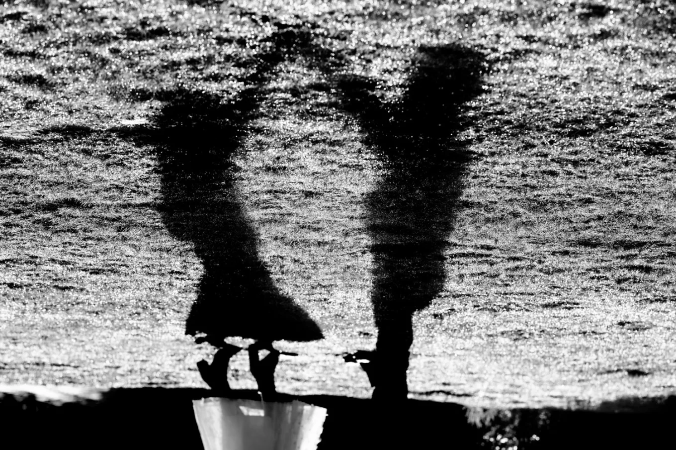 Shadows of the dancing couple.