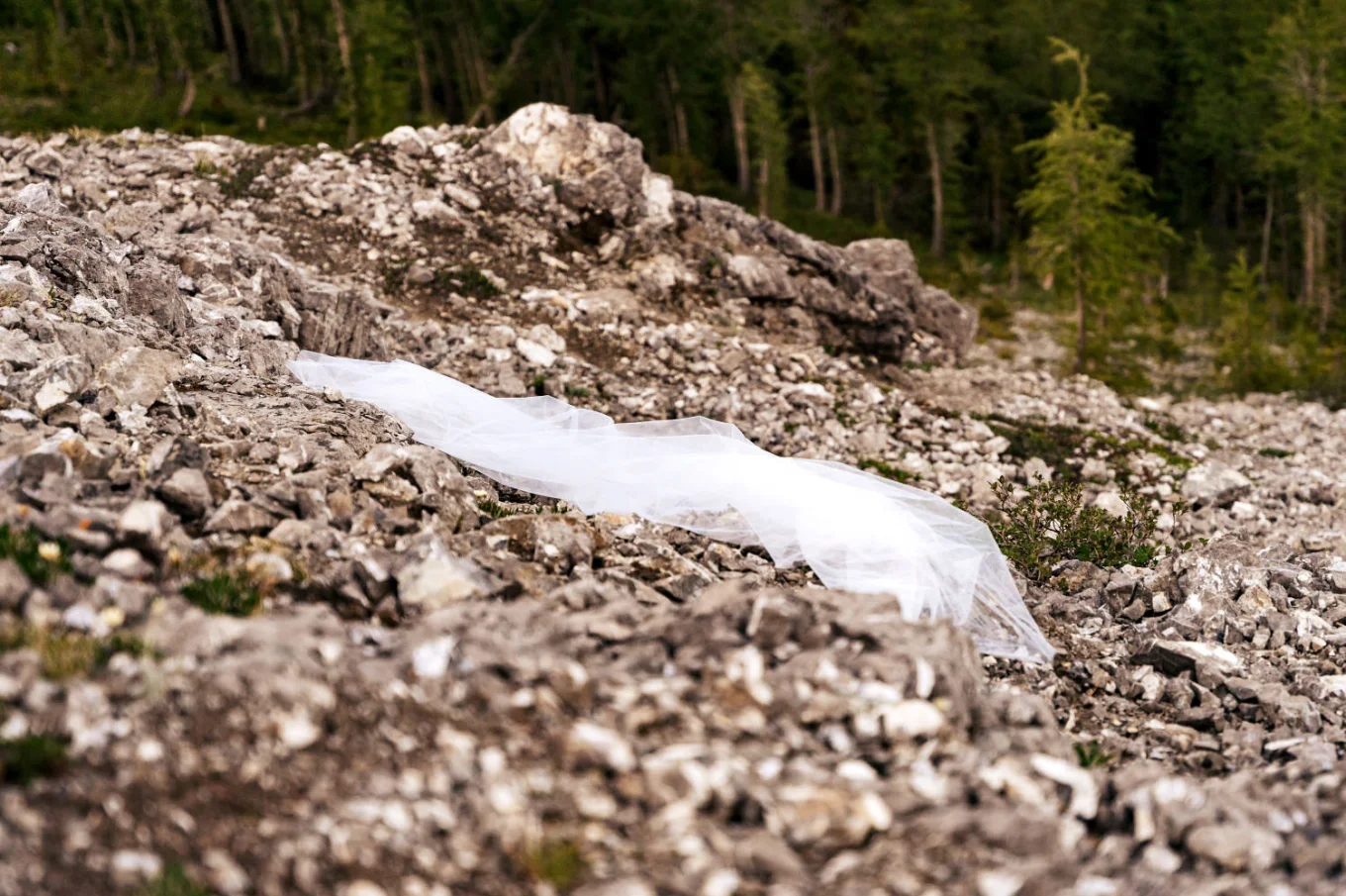 The veil on the ground.