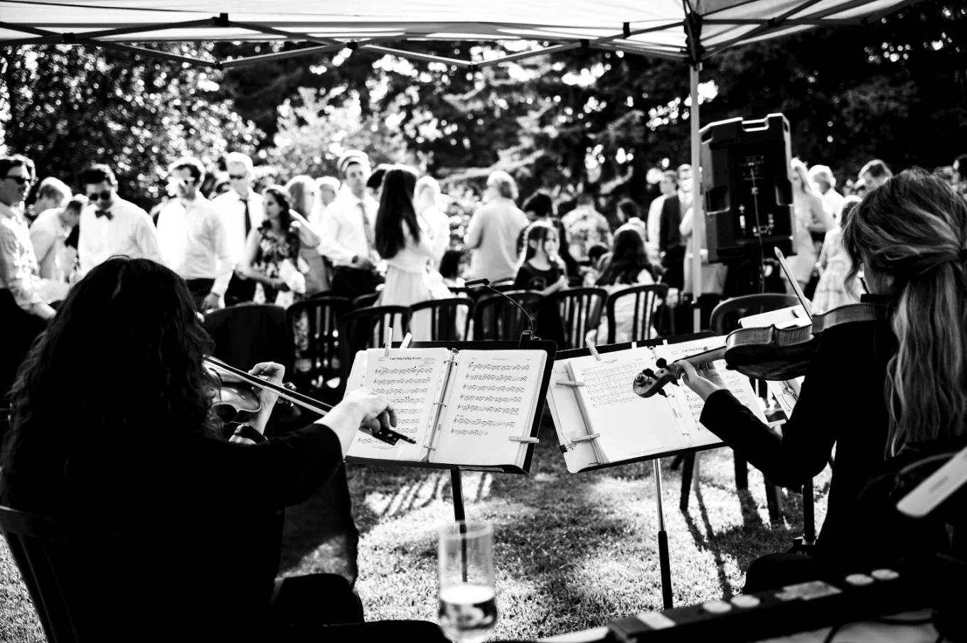 Musician play violin at the Calgary Wedding