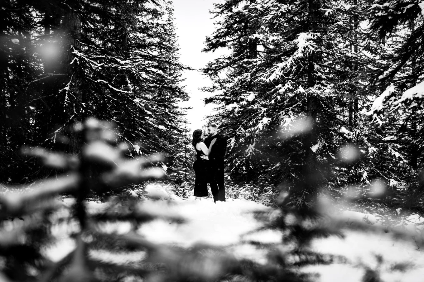 Shoot through the tree in the Banff's forest in wintertime of the couple in love.