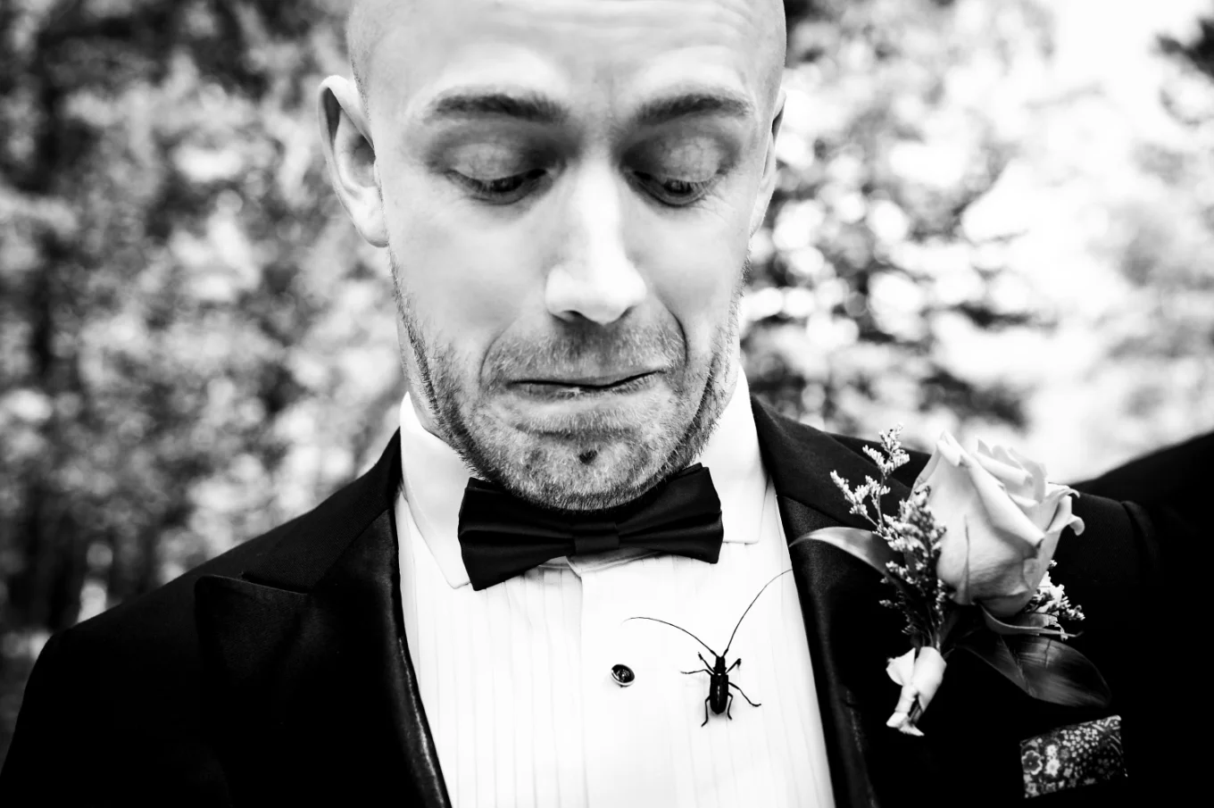 Groom looks at the bug during the ceremony