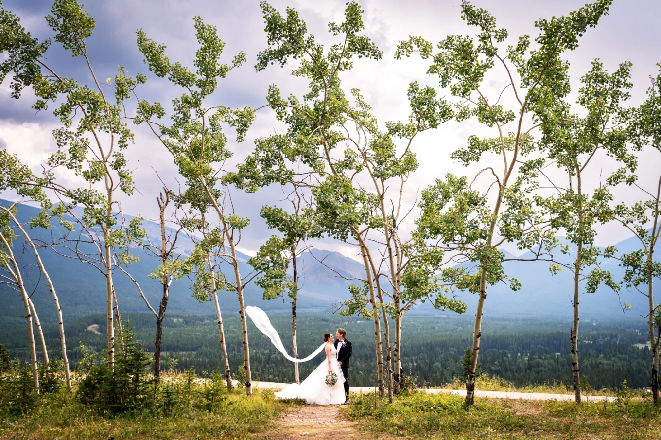 Bride and groom portrait
