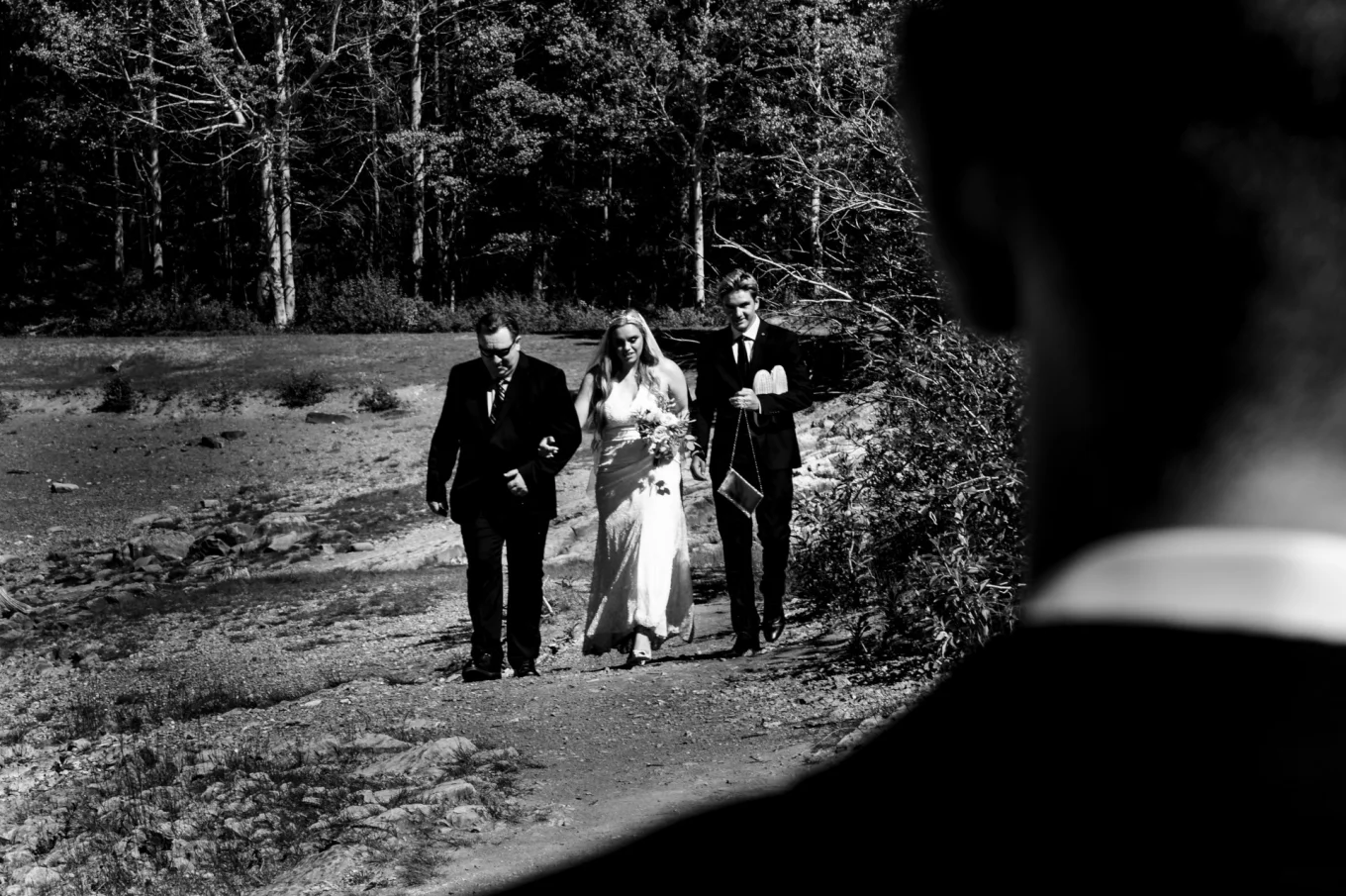 father leads his daughter to the altar