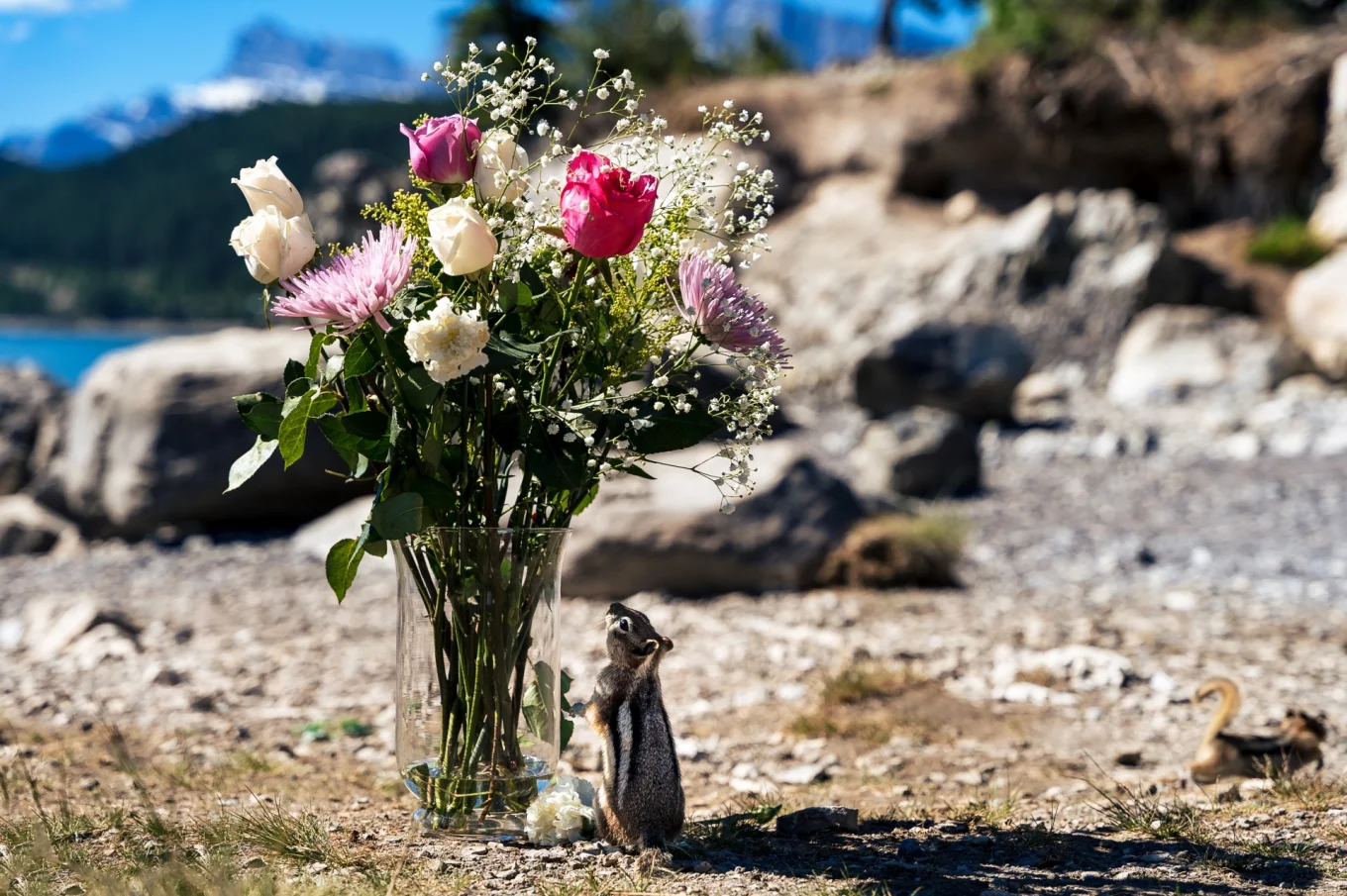 flowers and squirrel who tries to eat the flowers. Funny wedding moments.