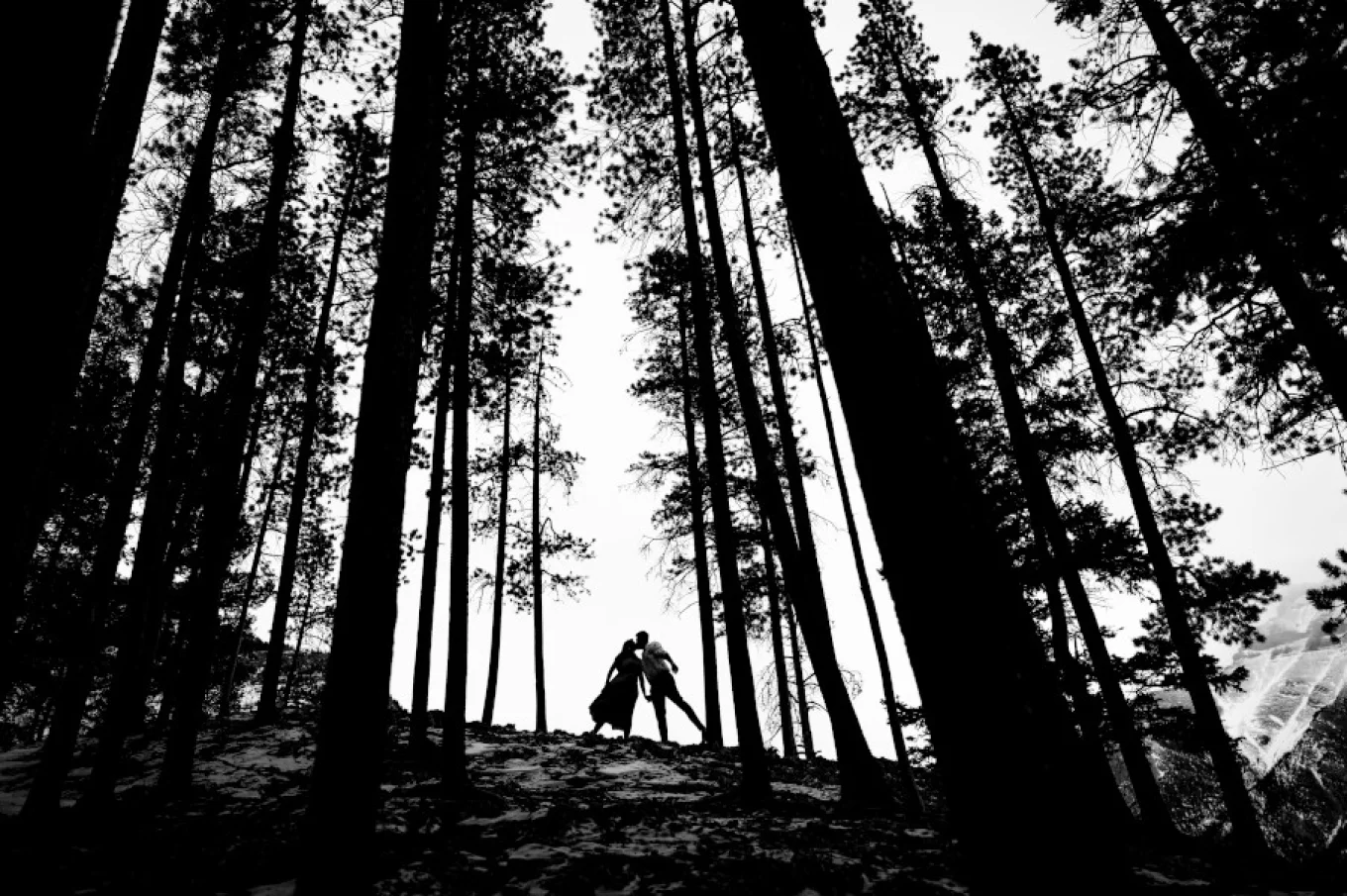 black and white silhouette in the forest in Calgary taken by best Calgary Wedding Photographer