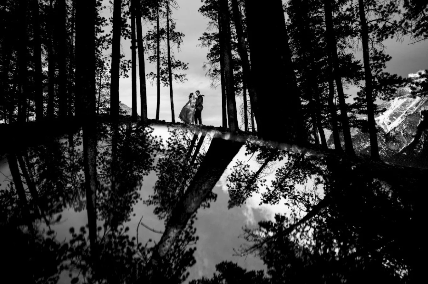 Stunning mirror silhouette in the forest taken by talented photographer Eliza Slobodzian.