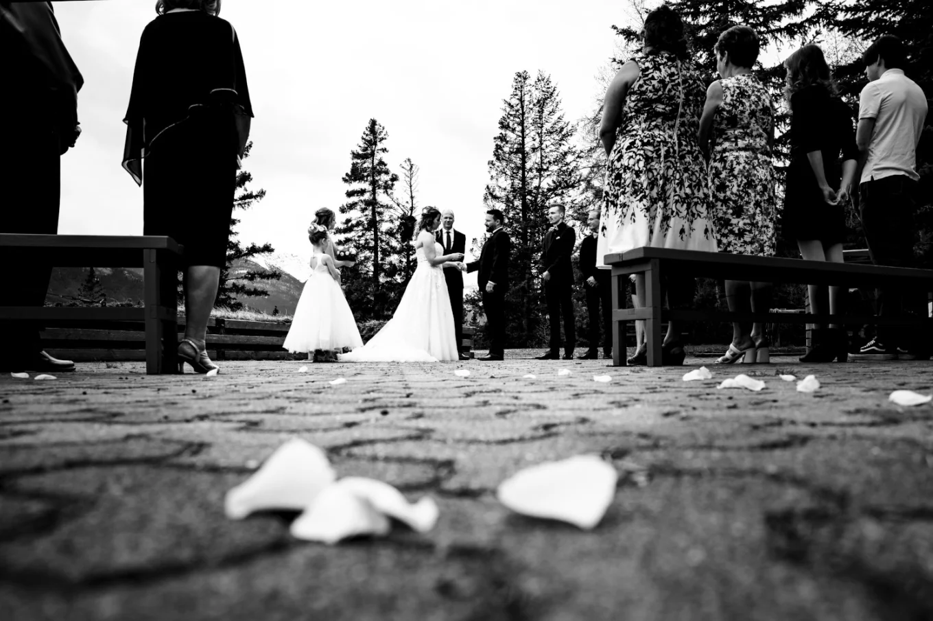 Elopement in black and white. Bride and groom hold their hands. White rose petals on the ground.