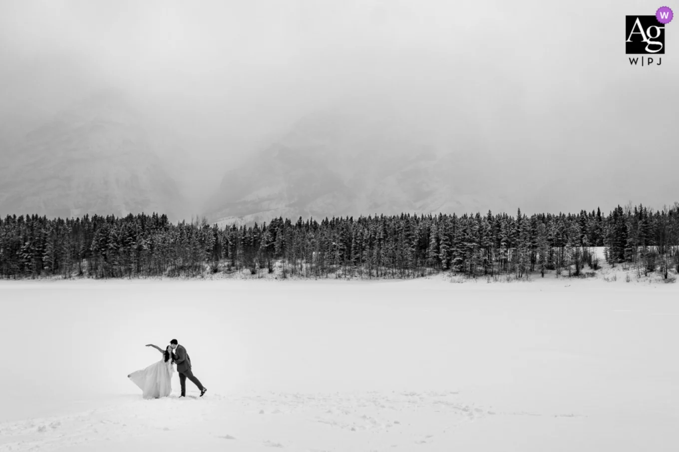 Artistic-Award-Calgary-Wedding-Photography