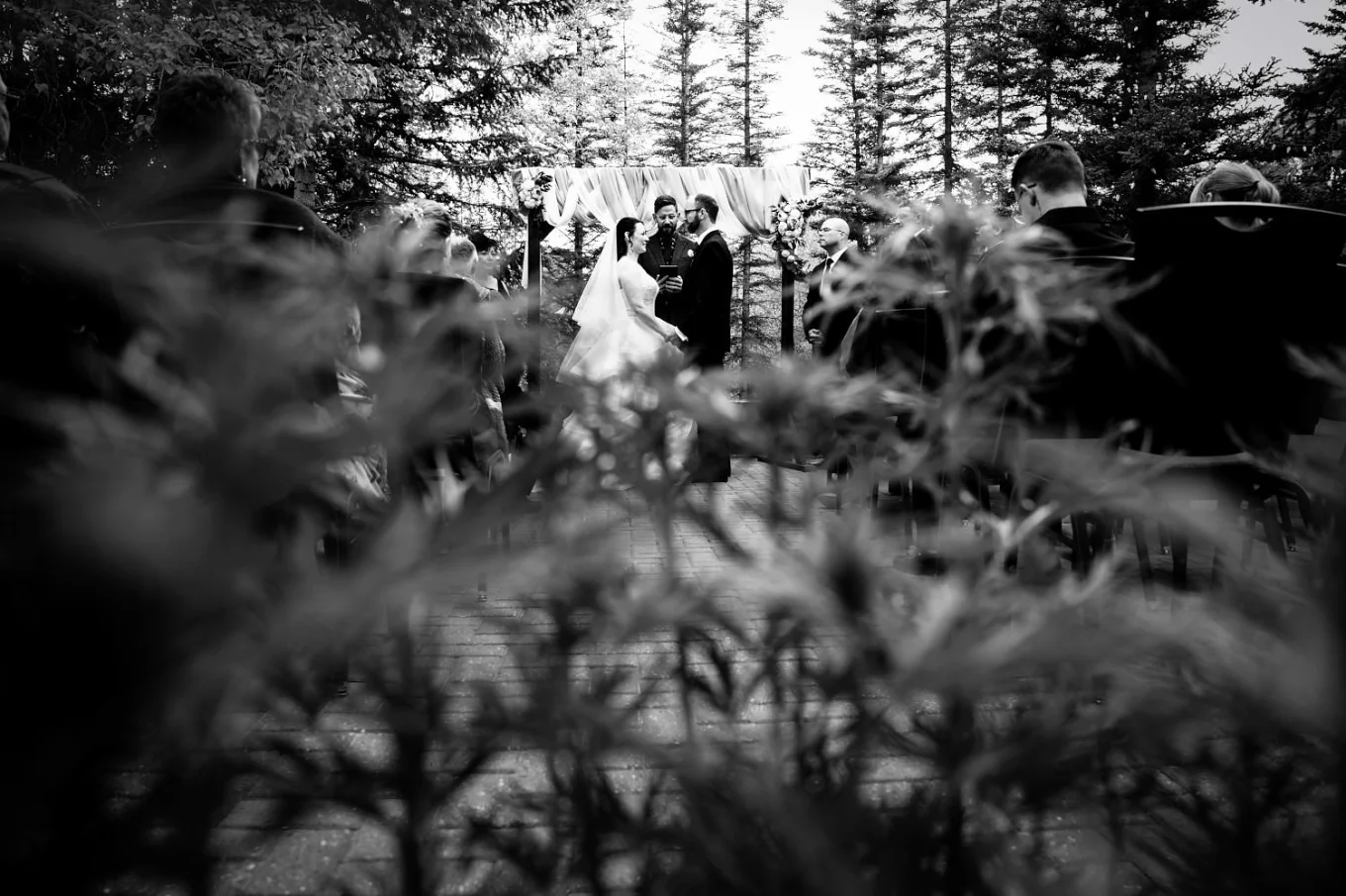 Creative Wedding photograph through the grass during Banff Elopement Ceremony.