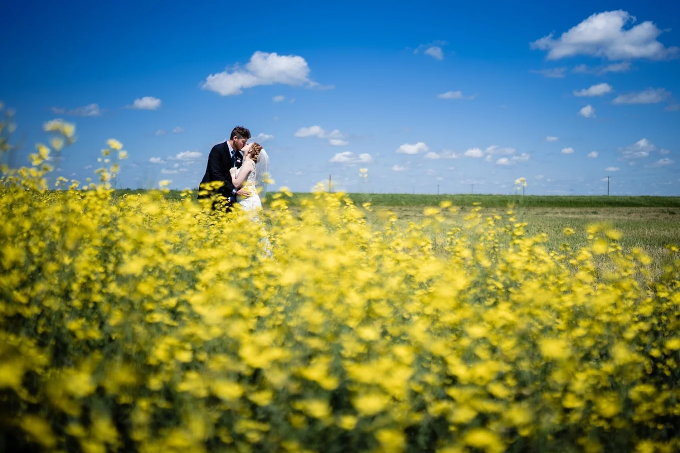 Newlyweds share a kiss in a canola filed during after-wedding photo session in Calgary.
