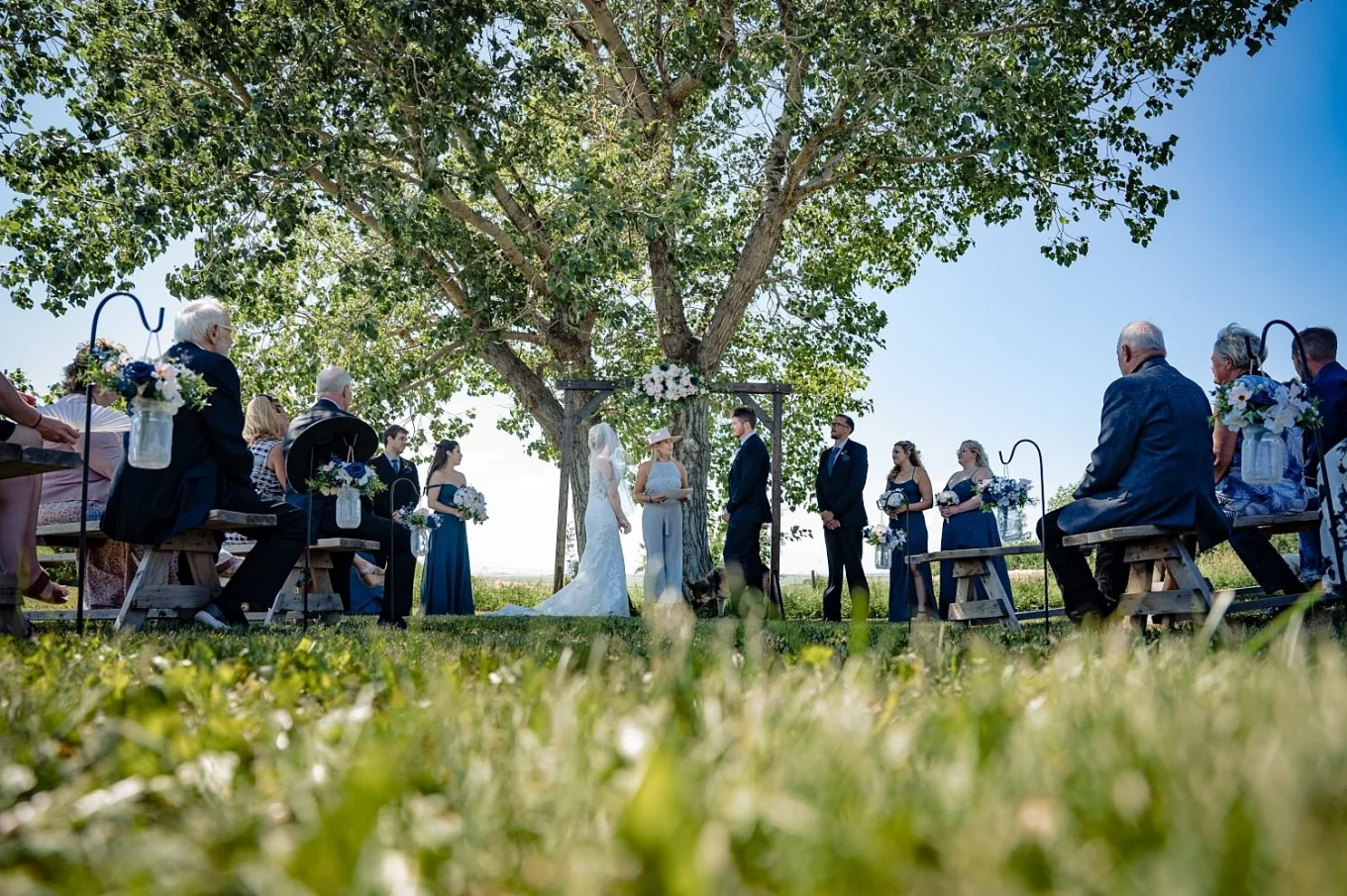 Beautiful countryside wedding ceremony outside of Calgary. Wedding ceremony under the huge tree during hot summer.