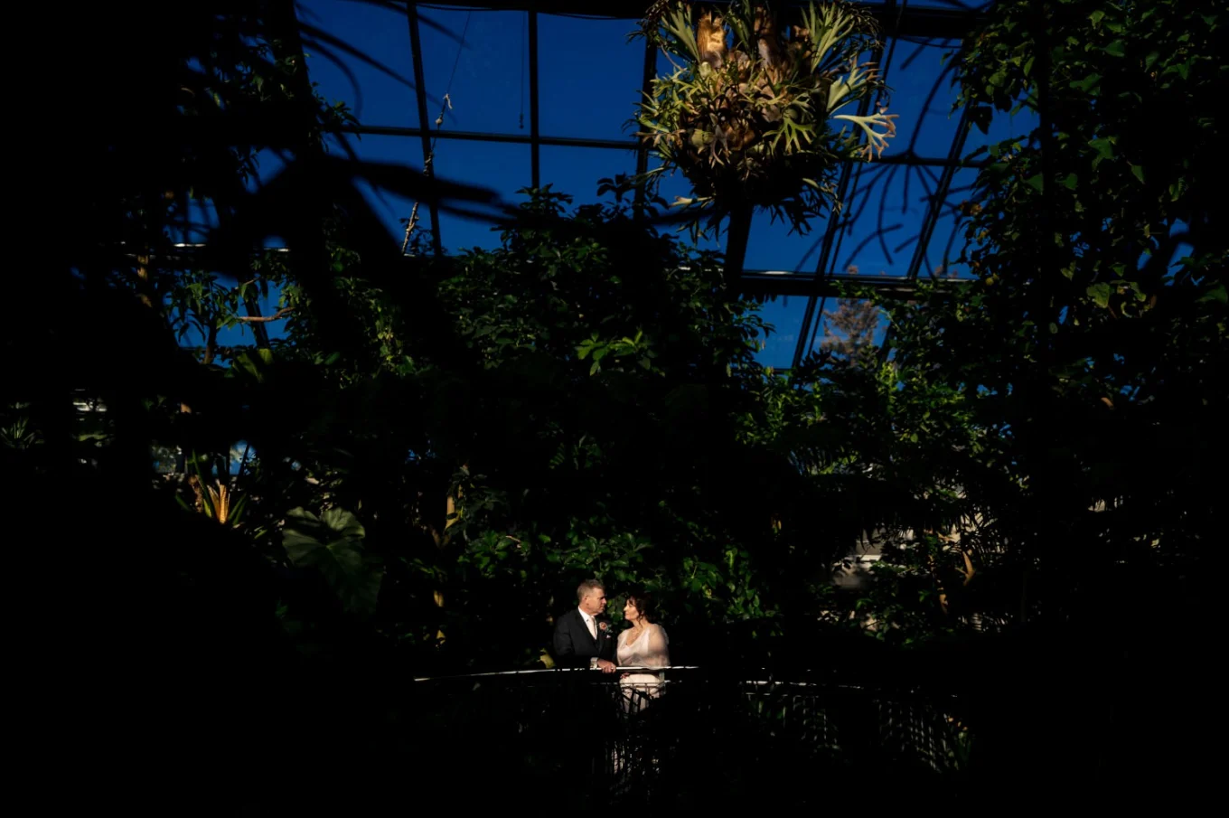 Bride and groom at Calgary Zoo Garden, They stand on the bridge surrounded by lovely flora.