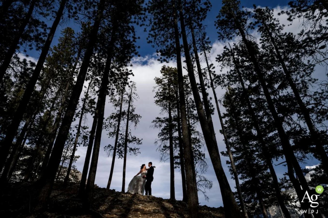 Wedding Portrait Session at Minnewanka Lake in Banff of hugging couple in the forest.