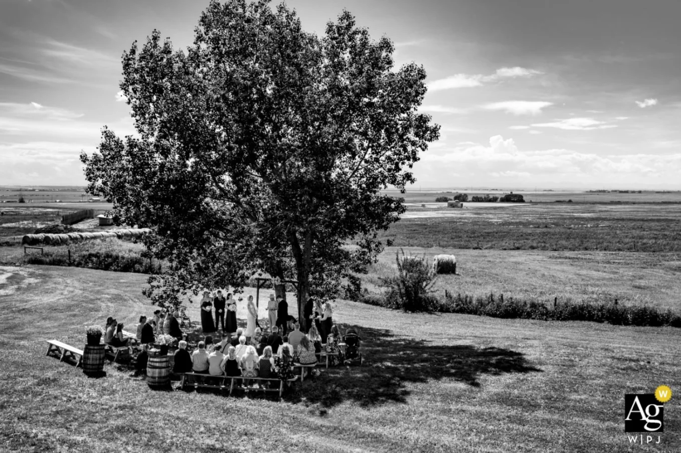 Calgary Wedding Photography in black and white showing outside country wedding under a huge tree.
