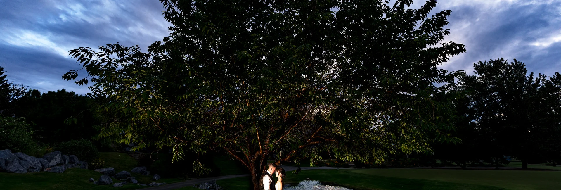 Newlyweds in a hug standing under the Gian tree in Calgary