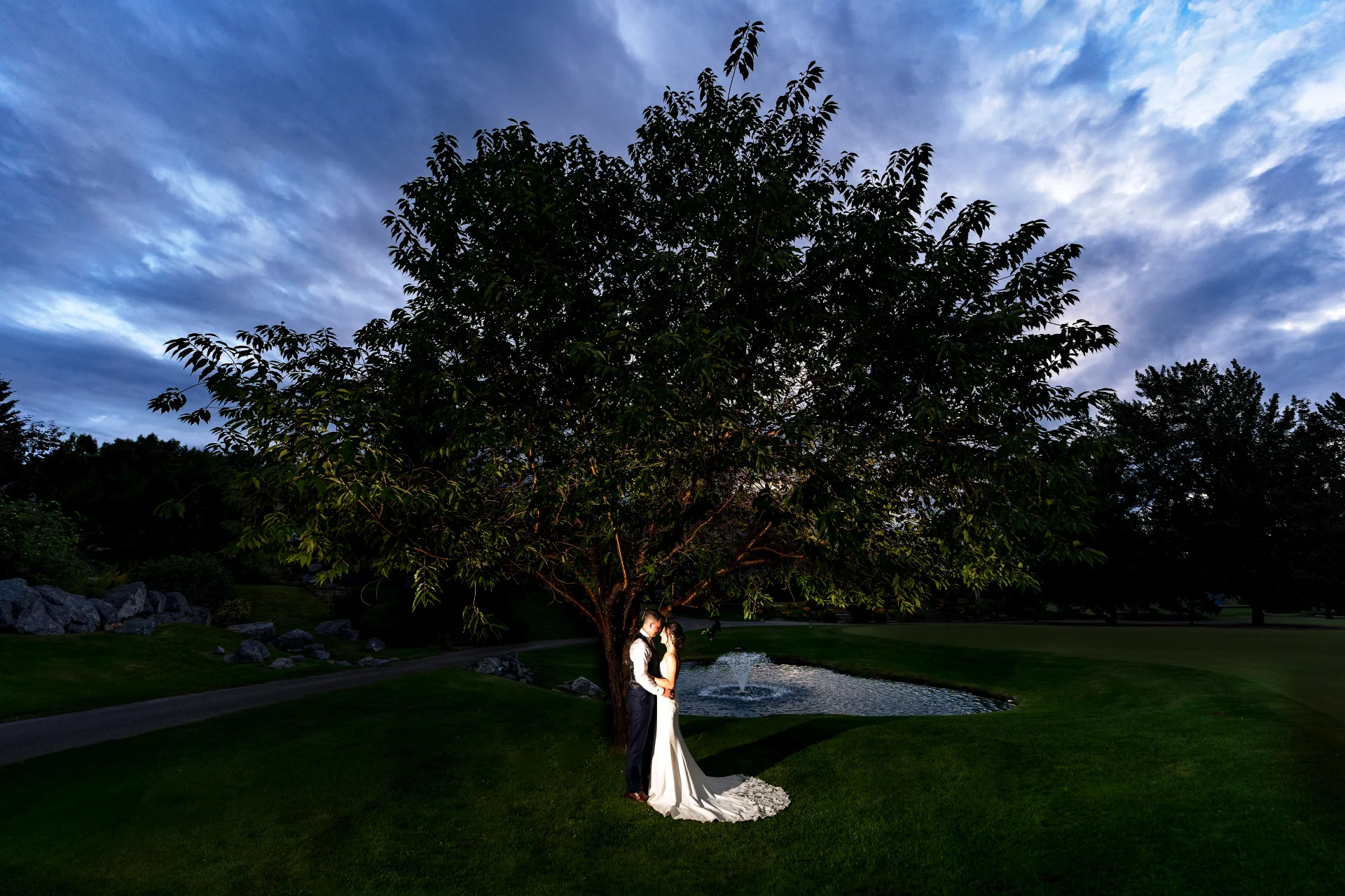 Newlyweds in a hug standing under the Gian tree in Calgary