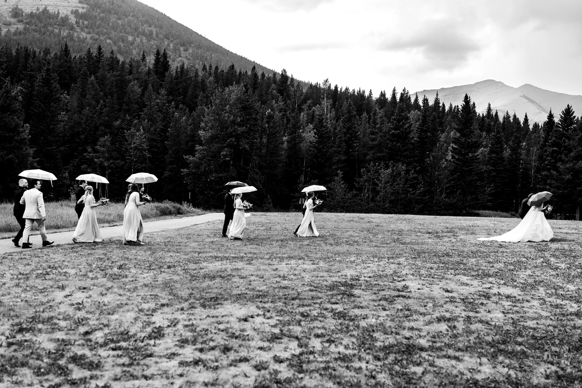 Newlyweds and wedding party walk in the rain