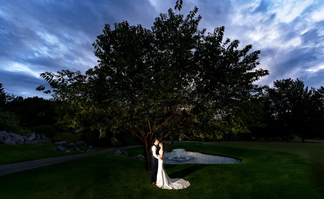 Newlyweds in a hug standing under the Gian tree in Calgary