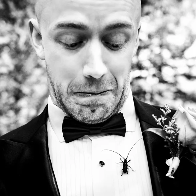 Groom looks at the bug during the ceremony