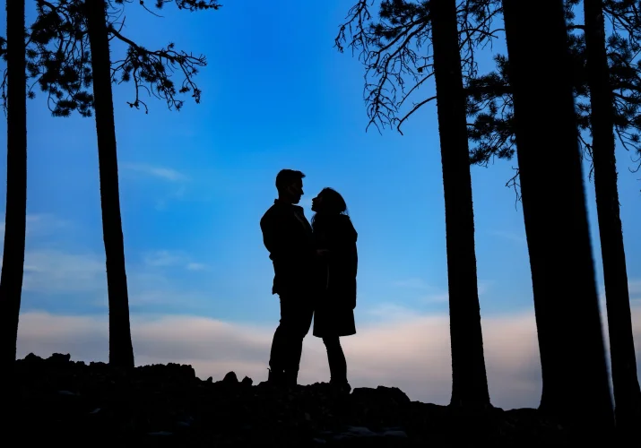 silhouetted engaged couple in a hug looking at each other. They are in between trees, against a blue sky.