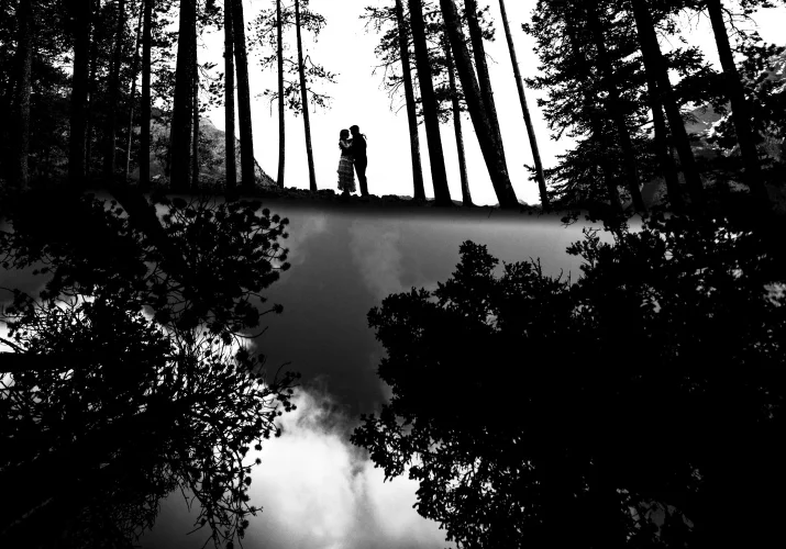 Creative photograph in black and white of the couple in the reflected forest.