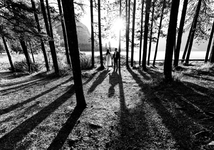 Incredible photograph in the woods in black and white taken by Banff Wedding Photographers of the engaged couple walking holding their hands.