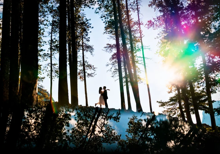 A man and a Woman in a hug facing each other in the woods. On the bottom reflection of the trees.