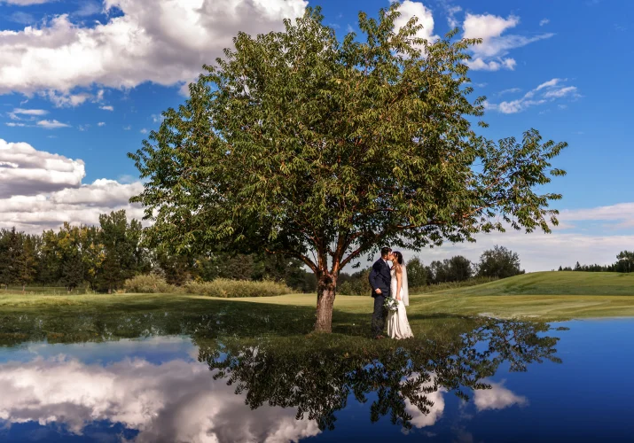 Creative photograph of the bride and groom under the tree with the reflected sky.
