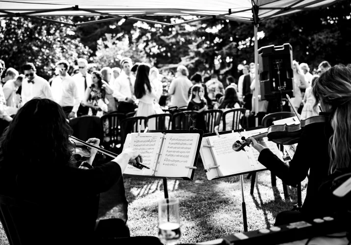 Musician play violin at the Calgary Wedding
