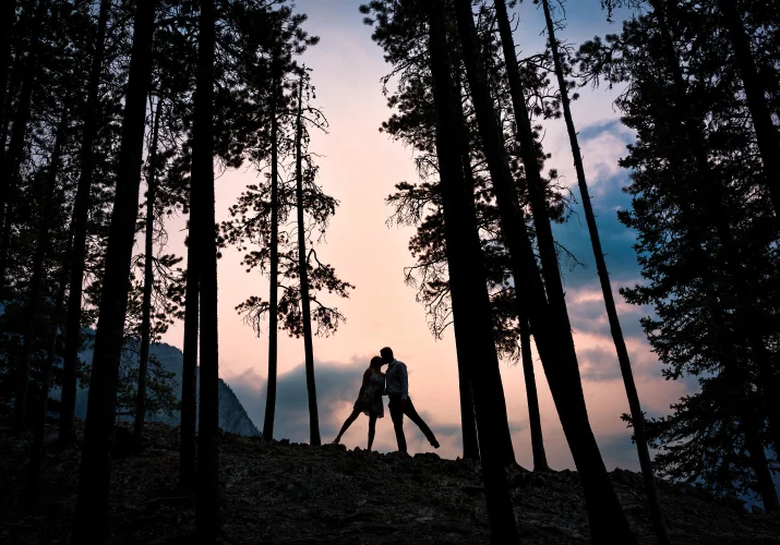 silhouetted people in banff's forest against coloreful sky