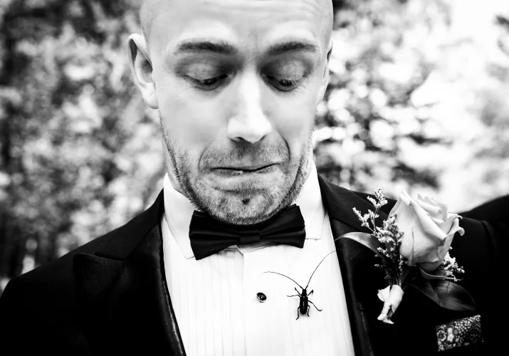 Groom looks at the bug during the ceremony