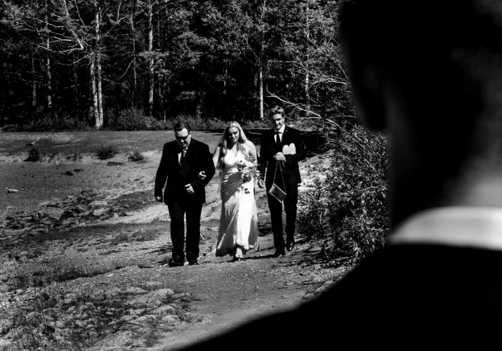father leads his daughter to the altar
