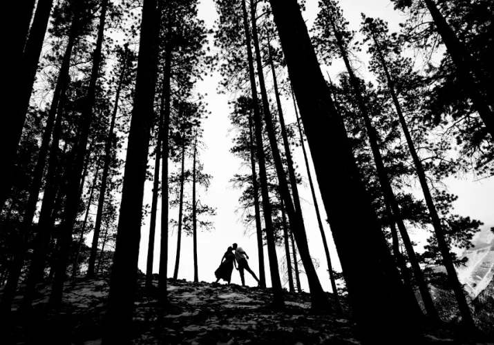 black and white silhouette in the forest in Calgary taken by best Calgary Wedding Photographer