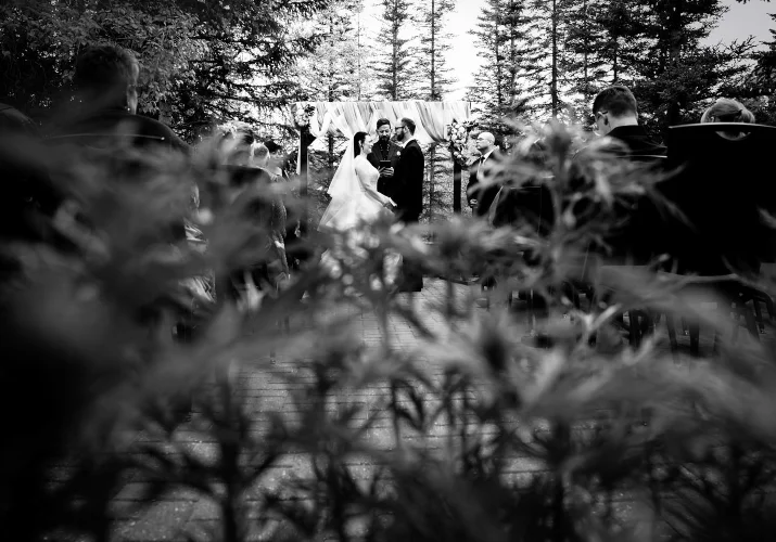 Creative Wedding photograph through the grass during Banff Elopement Ceremony.
