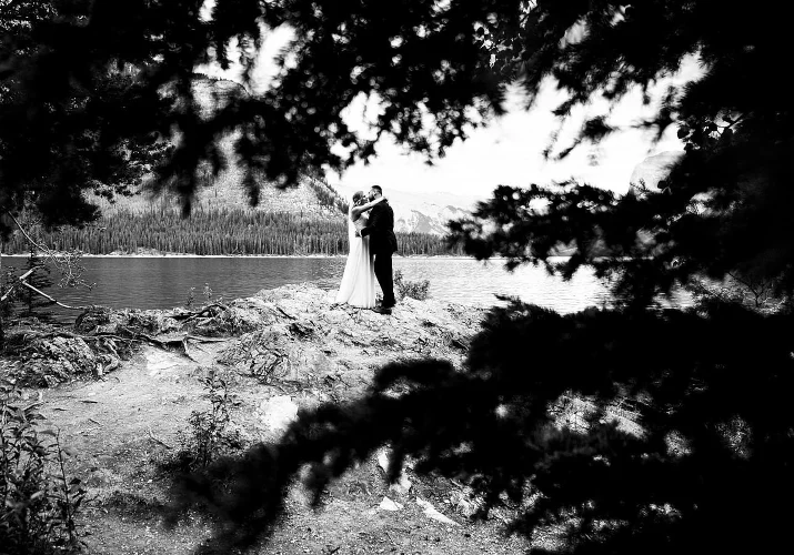 wedding portrait photo through the tree in black and white