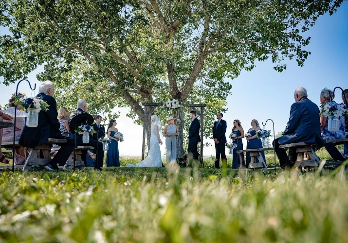Beautiful countryside wedding ceremony outside of Calgary. Wedding ceremony under the huge tree during hot summer.