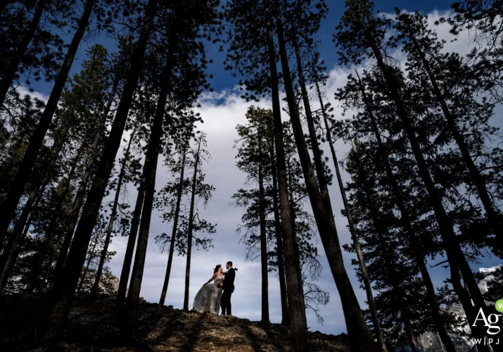 Wedding Portrait Session at Minnewanka Lake in Banff of hugging couple in the forest.