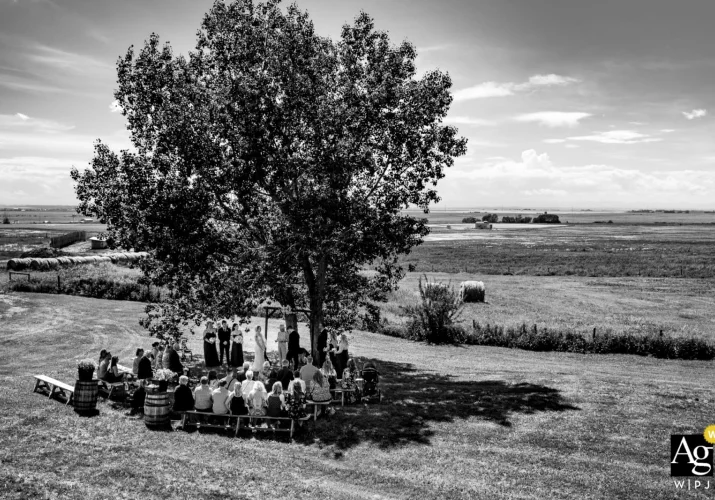 Calgary Wedding Photography in black and white showing outside country wedding under a huge tree.